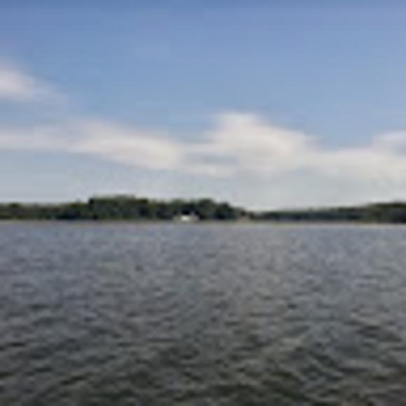 Meet your Posher, Dyshone - Picture 1 of 1